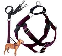 2 Hounds Design Freedom No-Pull Dog Harness with Leash, Medium, 5/8-Inch Wide, Burgundy
