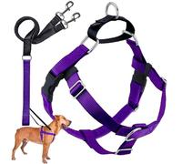 2 Hounds Design Freedom No-Pull Dog Harness with Leash, X-Large, 1-Inch Wide, Purple