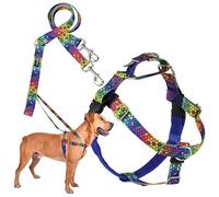 2 Hounds Design - Freedom No-Pull Harness & Training Leash in Blue and Rainbow | Dual Leash Loops, No Pulling on Walks | Lined to Prevent Chaffing | for Large Sized Dogs (Size M, Chest 24”- 28”)