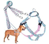 2 Hounds Design - Freedom No-Pull Harness & Training Leash in Pink and Blue | Dual Leash Loops, No Pulling on Walks | Lined to Prevent Chaffing | for Large Sized Dogs (Size L, Chest 28”- 32”)