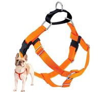2 Hounds Design Freedom No-Pull No Leash Harness Only, 1-Inch, Large, Neon Orange
