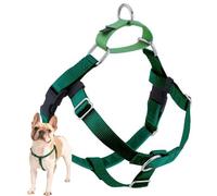 2 Hounds Design Freedom No-Pull No Leash Harness Only, 1-Inch, Medium, Kelly Green
