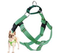 2 Hounds Design Freedom No-Pull No Leash Harness Only, 1-Inch, Medium, Neon Green