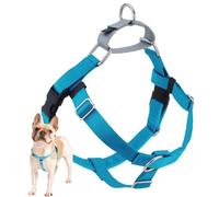 2 Hounds Design Freedom No-Pull No Leash Harness Only, 5/8-Inch, Medium, Turquoise
