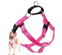 2 Hounds Design Freedom No-Pull No Leash Harness Only, 5/8-Inch, Small, Hot Pink