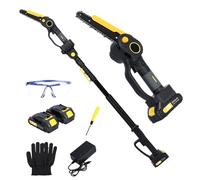 2-in-1 Cordless Pole Saw and 6-Inch Mini Chainsaw, 21V Electric Battery Powered Pole Chainsaw for Tree Trimming with Brushless Motor, Extendable Telescopic Handle 4.9-7.5ft, 2 x 2.0Ah Batteries & Char