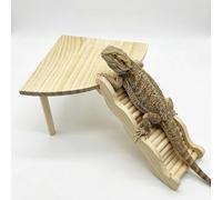2-in-1 Fan-Shaped Wooden Basking Platform with Anti-Slip Ramp and Hideout, Easy Assembly Terrarium Accessories for Bearded Dragon, Leopard Gecko, Small Reptiles & Amphibians (Natural Wood Tone)