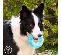 InnovaGoods 2-in-1 Freezable Pet Chew Toy Glubiz