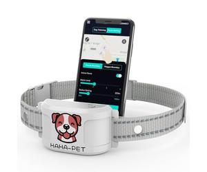 2-in-1 GPS Dog Collar System - Wireless Electric Fence & Remote Training, No Subscription, IP67 Waterproof, 2-Day Battery, 1-Mile Range, 1-Min Setup via App