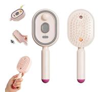 2-In-1 Hair Brush With Water Spray,Red Light Therapy & Nano Mist for Scalp Care,Self-Cleaning Detangler,USB Rechargeable Water Hairbrush,No-Tangle Anti-Frizz for Home,Travel,Outdoor (Pink)