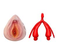 2 in 1 Vulva Clitoris Anatomy Model for Gynecology & Nursing Education | Vulva Combination Model Reproductive System Anatomy Model for Studying and Communication.