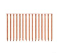 2-Inch Copper Nails for Tree Stump Removal | Pure Copper Spikes to Kill Roots Effectively | Non-Disturbing Garden HTool for Eliminating Unwanted Trees Stumps