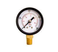 2-inch utility pressure gauge, 1/4-inch NPT lower seat, black steel case, 0-400 PSI-