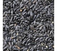 2 Kg Johnston & Jeff Black Oil Sunflower seeds