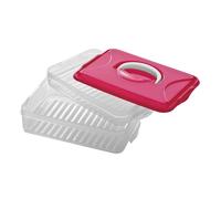 2 Layer Food Container With Carry Handle, Hot Pink