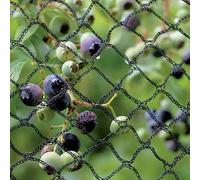 2 m x 3 m - Anti Bird Netting for Heavy Duty Ponds Fruit Trees Crop Plants Vegetables & Bushes. Strong, Black Professional Grade Bird Proof Deterrent Prevention Mesh, (2-3-BLACK-ARI)