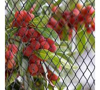 2 m x 5 m - Anti Bird Netting Heavy Duty for Ponds Fruit Trees Crop Plants Vegetables Bushes. Strong, Black Professional Grade Bird Proof Deterrent Prevention Mesh