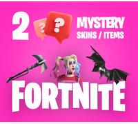 2 Mystery Fortnite Skins / Items PC Epic Games CD Key