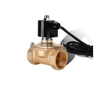 2" Normally Closed Brass IP68 Waterproof Fountain Solenoid Valve 110V 24V 12V 24v for Underwater(BSP-110VAC-VITON-SEAL)