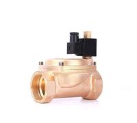 2" Normally Open High Pressure Brass Solenoid Valve 1.6Mpa Pilot Type Electric Water Valves 220V 110V 24V 12V(BSP-24VAC)