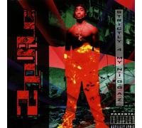 2 Pac - Strictly 4 My Niggaz