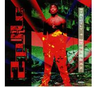 2Pac – Strictly 4 My N.I.G.G.A.Z... – Vinyl