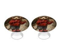 2 Pack 1.1 Inch (28 Mm) Round Cat Delivers Letter Drawer Knobs Modern Kitchen Cabinet Knob Hardware Handles Decorative Furniture Knobs for Dresser, Cupboards, Wardrobes, Bifold Door, Closet Door