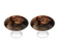 2 Pack 1.1 Inch (28 Mm) Round Puppy Wearing Glasses Drawer Knobs Modern Kitchen Cabinet Knob Hardware Handles Decorative Furniture Knobs for Dresser, Cupboards, Wardrobes, Bifold Door, Closet Door