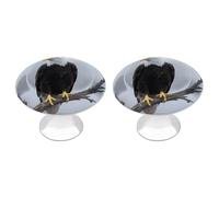 2-Pack 1.1" Round Cabinet Knobs Stainless Steel Drawer Knobs with 2 Screws, Eagle Full Moon Cabinet Handles for Drawers, Dresser, Kitchen Hardware | Easy Install
