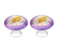 2 Pack 1.1"Round Star Eucalyptus Leaf Drawer Knob Stainless Steel Kitchen Cabinet Knob Pulls with Screws Hardware Decorative Handles Knobs for Dresser Cupboard Closet Door Wardrobe Easy Install