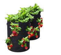 2 Pack 10 Gallon Strawberry Grow Bags, Strawberry Planter with 8 Side Grow Pockets, Breathable Non-woven Fabric Pots Garden Plant Growing Bag for Strawberries Grow, Herbs, Flowers, Vegetable, Fruits
