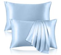 2 Pack 100% Pure Silk Pillowcase for Hair and Skin, Both Sides Mulberry Silk Pillowcases with Hidden Zipper, Cooling Pillowcase 19 Momme, 600 Thread Silk Pillow Cases Standard Size, Light Blue