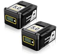 2 Pack 18 V 5.0 Ah Replacement Battery for Kärcher Battery Power18/50 Battery Compatible with Kärcher 18 V Battery Power Tools
