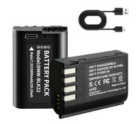 2 Pack 2800mAh USB-C DMW-BLK22 Battery for Panasonic Lumix DC-S5, DC-S5IIX,DC-S5II, DC-S5IIX, GH5 II, GH6, S5II, S5M2, GH5M2 Cameras, Quick Charge in 3 Hours via USB-C Fast Charge
