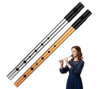 2 Pack 28CM Aluminum Alloy 6 Hole D Tune Penny Whistle, Tin Whistl Set, Tin for Beginners, and Expert Band Performances, Folk Music Instrument (Gold And Silver)