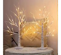 2 Pack 2FT Lighted Birch Tree with 24 LEDs, Warm White Tabletop Christmas Light for Indoor Decorations, Bedroom, Home, Wedding, Holiday and Thanksgiving Gifts
