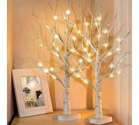 2 Pack 60Cm Christmas Tree With 24 Led Lights White Birch Style