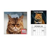 2 Pack Angry Cats Calendar 2026, Peed-off Cats Wall Calendar, Creative Angry Cat Monthly Calendars, January - December 2026, Funny Wall Planner for Kitten Lovers Home Decor