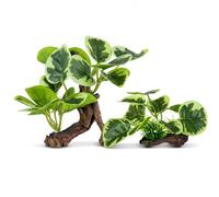 2 Pack Artificial Aquarium Plants with Driftwood Base, Realistic Green Plastic Fish Tank Plants, Aquatic Decorations for Small Medium Aquariums, Betta Goldfish Tropical Fish Tank Décor (Style-2)