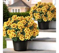 2 Pack Artificial Geranium Flowers Topitary Trees for Outdoors, UV Resistant Geraniums Potted Bushes Look Real Silk Faux Plants for Front Door Garden Porch Planter Farmhouse Home Decor (Yellow)