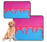 2 Pack Big Dog Pee Mat Cat Pee Pads for Floor Anti Slip Mat for Airline Crate 24x36in＋36x42in Red Drip Design on Blue