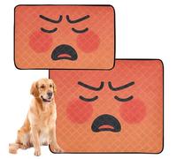 2 Pack Big Dog Pee Mat Washable Dog Rug Anti Slip Mat for Indoor 24x36in+36x42in Sunburn Look