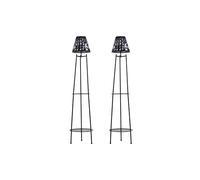 2 Pack Black Solar Plant Stands with Lights | Double Tier Metal Flower Pot Holder for Balcony & Garden | Weatherproof The hot sale Black