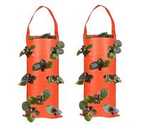 2 Pack Breathable Hanging Grow Bags For Strawberries With Reinforced Structure For Tomatoes Peppers And Seasonal Vegetable Growing(G)