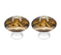 2-Pack Cabinet Handles - Reading Book Cool Retro Dragon 1.1 Inch Round Stainless Steel Cabinet Pulls, Knobs Pulls with Screws, Silver Hardware for Kitchen Cabinets, Furniture Doors, & Dressers