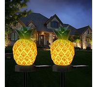 2 Pack Cactus-Shaped Lights Patio Yard Garden Decor Stake Decorative LED Light Waterproof Night Landscape Lights (Color : Cactus 2pcs) (Pineapple 2pcs)