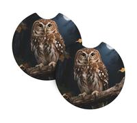 2 Pack Car Coaster for Cup Holders Owl Sitting on A Branch Print Car Cup Coaster 2.7" Neoprene Non-Slip Automotive Cup Mat Universal Auto Car Interior Accessories for Women Men Cup Pad
