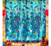2 Pack Cartoon Birthday Party Supplies, Hawaiian Element Pattern Foil Fringe Curtains, Animation Themed Photo Booth Prop, Photo Backdrop, Streamers for Kids Cartoon Birthday Party Decorations
