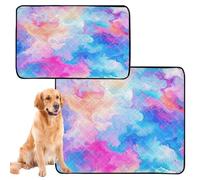 2 Pack Cat Pet Mat Colorful Pastel Rainbow Liquid Dog Tray for Pee Pads Anti Slip Rug for Indoor 24x36in & 36x42in