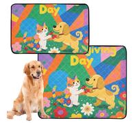 2 Pack Cat Pet Mat Muddy Mats for Dogs Large Washable Anti Slip Floor Mat for Lawn 24x36in+36x42in Thanksgiving Day with Cat and Dog